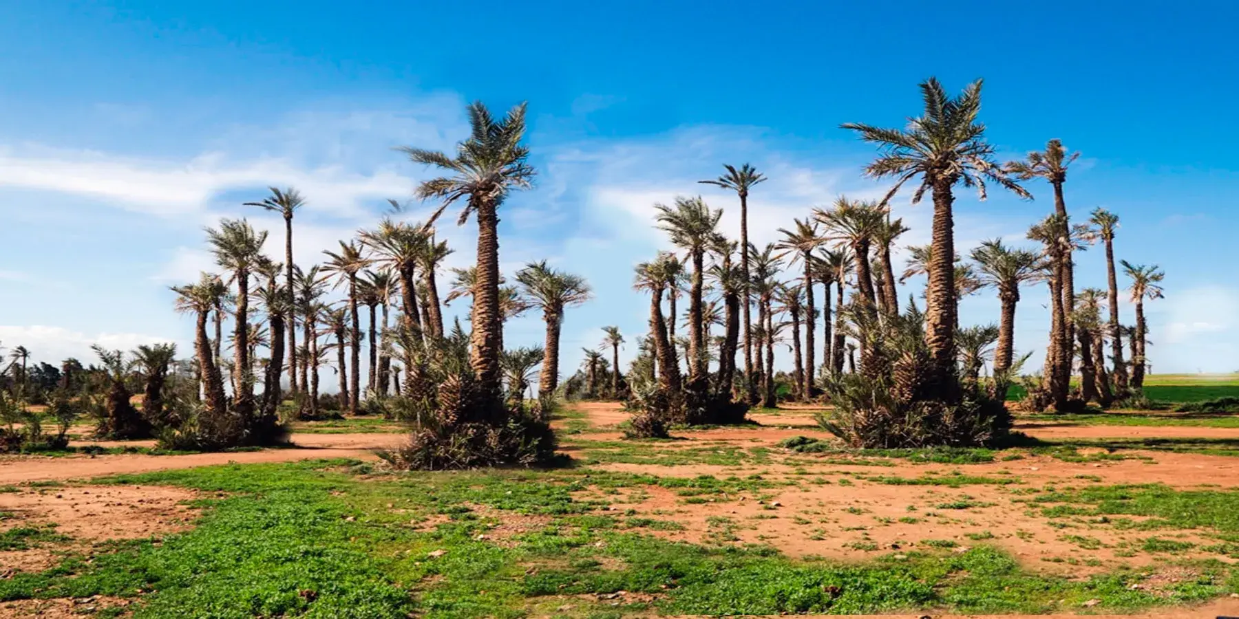 foto- quad safari morocco 33